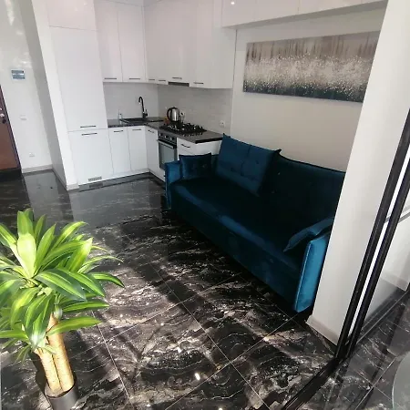 новобудова сам центр вул шевченка 60 оперний 10хв 公寓 *